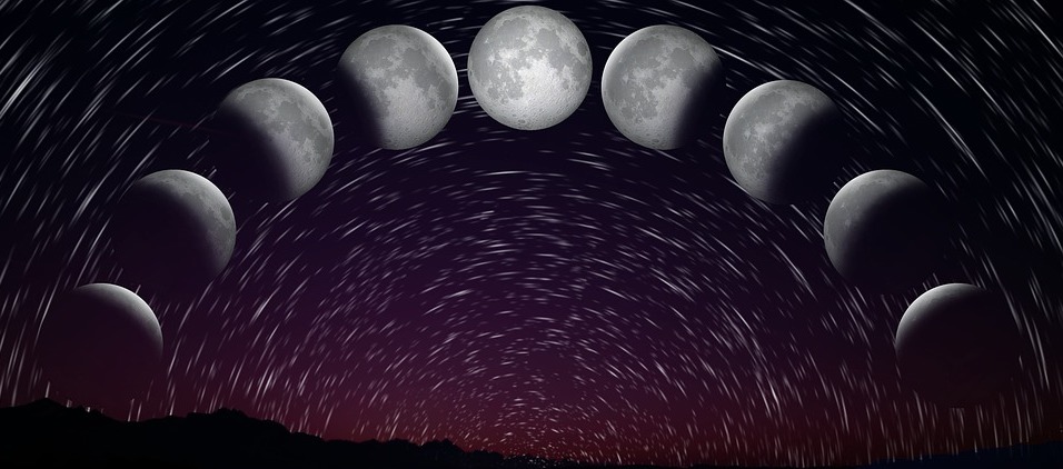 All the phases of the moon shown side-by-side.